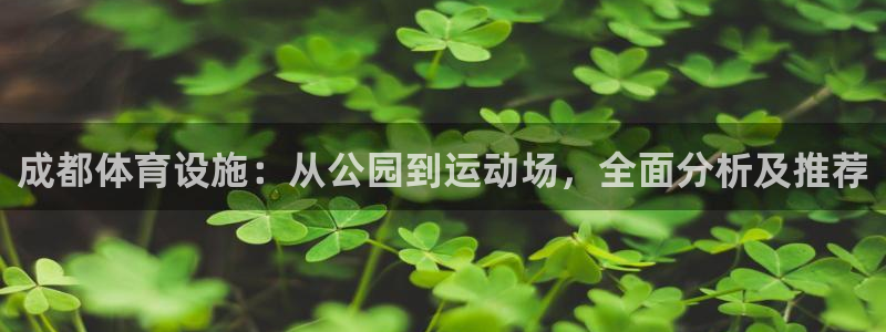 德国意昂4集团：成都体育设施：从公园到运动场，全面分析及推荐