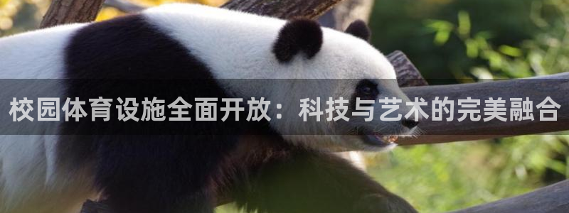 海南意昂体育4发展怎么样：校园体育设施全面开放：科技与艺术的