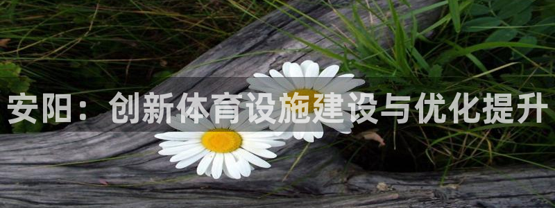 意昂体育4平台注册要钱吗是真的吗：安阳：创新体育设施建设与优 