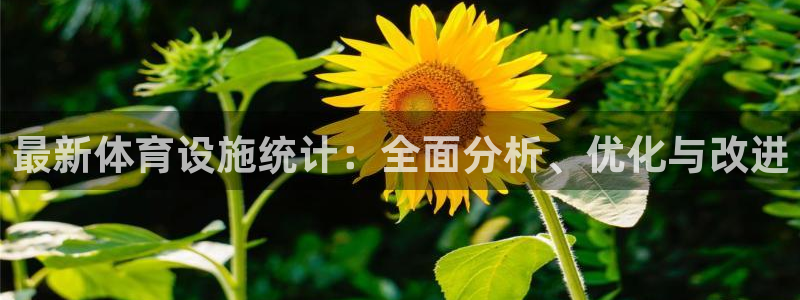 意昂体育4招商电话号码是多少：最新体育设施统计：全面分析、优